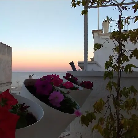 My Monopoli- Casa Dei Fiori 