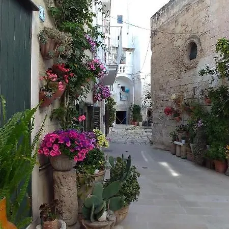 My Monopoli- Casa Dei Fiori 