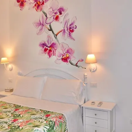 Guest house My Monopoli- Casa Dei Fiori 